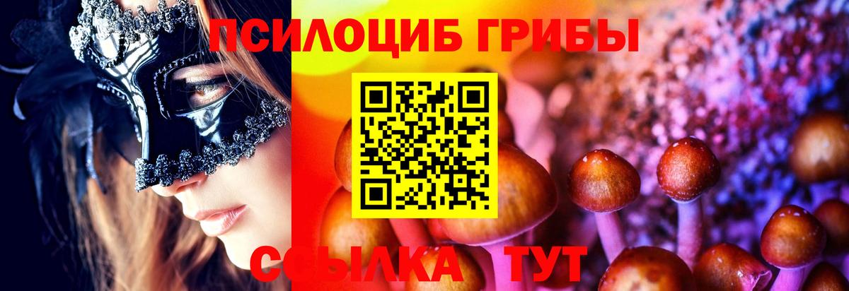 Галлюциногенные грибы Psilocybe  Вход с VPN  Галлюциногенные грибы мицелий  Балтийск 